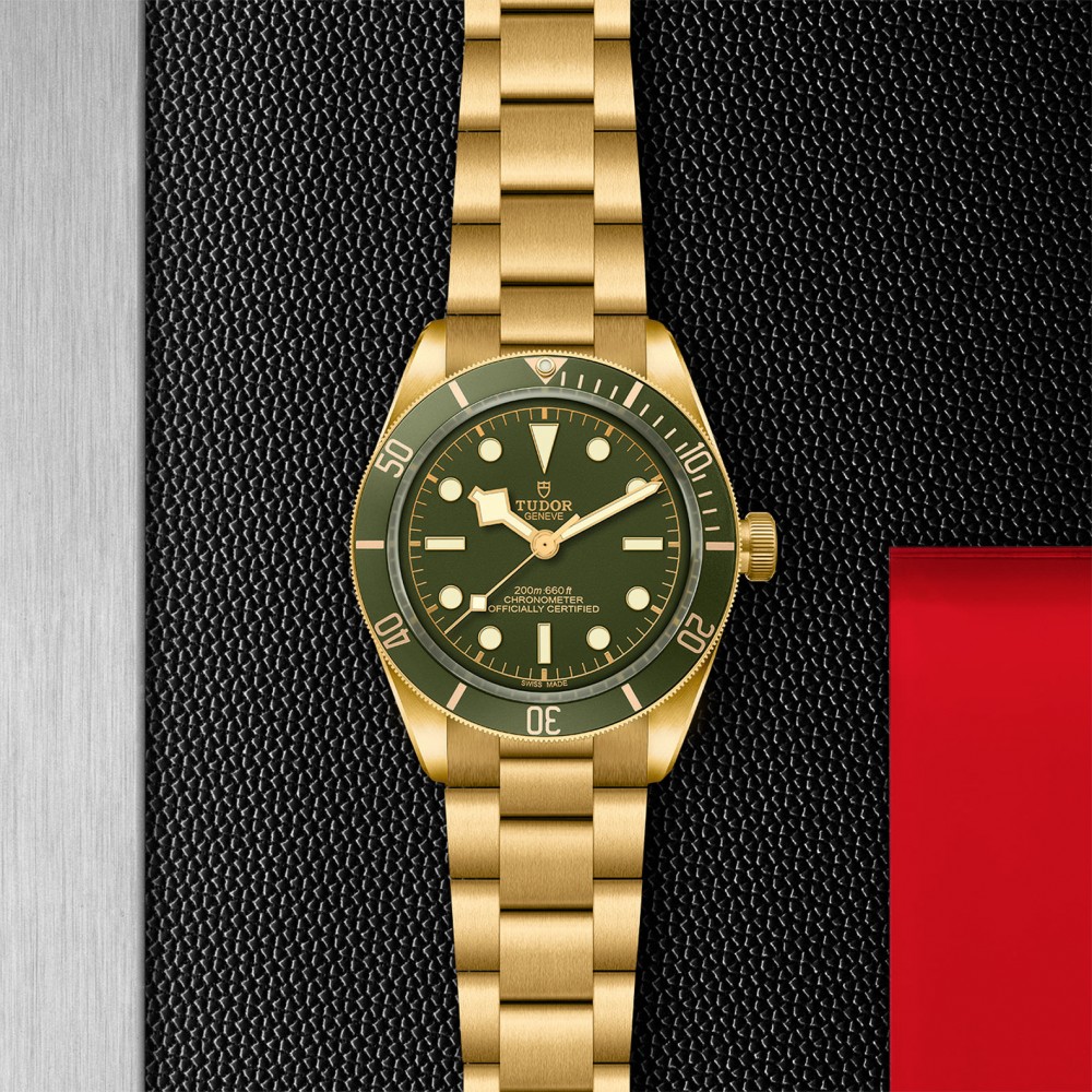 TUDOR Black Bay 58 Watch - M79018V-0006 at Floyd & Green Fine Jewelers